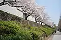 同左（2018年3月28日撮影）