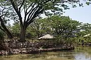 動物園内の池
