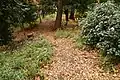 後円部から前方部を望む