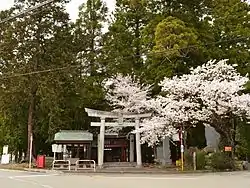 諏訪神社社叢