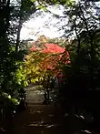 石段下の紅葉