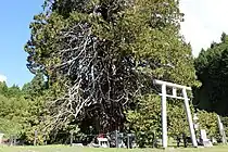 氏神の祠が祀られている。2023年10月25日撮影。