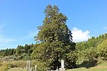 東側から見た全景。2023年10月25日撮影。