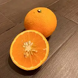 Sweetspring スイートスプリング
