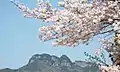 境内から臨む五剣山