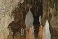 昇龍の鐘