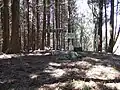 頂上