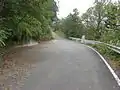 塩水林道終点