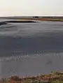腐海の海岸の風景