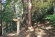 妙法ヶ岳を横断する東海自然歩道