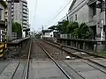 ホーム　林道方より