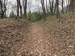 田部原館の土塁と空堀