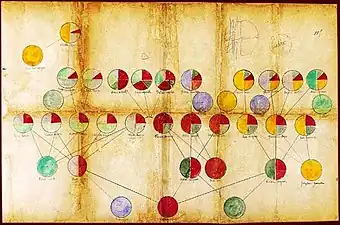 作者と親交があった植物学者のジョルジュ・プーシェによって数学的に分析された系図。これは「パスカル博士」の草稿に含まれていたもので、上の祖先から受け継がれた要素が同じ色で示されている。