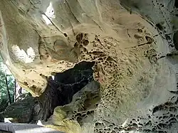 サンフランシスコ近辺の山岳に見えるタフォニ地形。