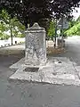 泉