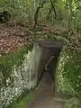 胎内くぐり