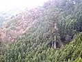 弘法大師像と燈明杉