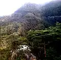 本峰と狼像5匹