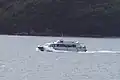 たいせい8号