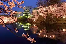 高田城址公園観桜会(日本三大夜桜)