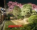 髙橋屋（本店）の庭園（百年桜）