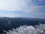 南西の眺望