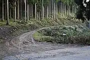 峠と交差している兵庫林道千町・段ヶ峰線