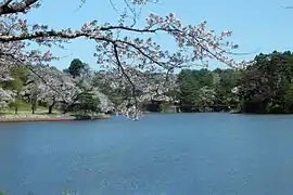 鷹巣中央公園