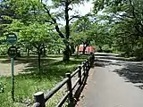 トリムランニングコース