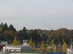 カラスの飛ぶ八王子市・高尾街道入口