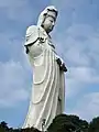 側面