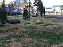 芝生が植えられている