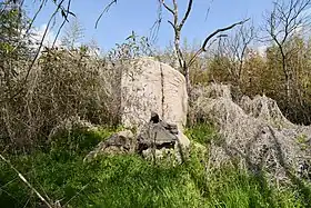 備前高島遺跡（岡山県岡山市）