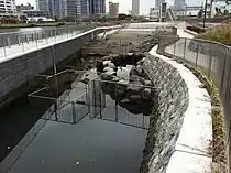 親水ゾーン「潮入りの池」