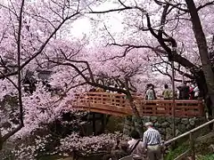 高遠城(伊那市)