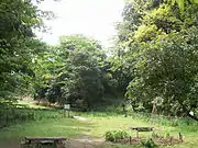 高津区市民健康の森(千年)