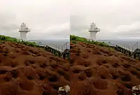 コロニーの立体写真（交差視） - 天売島の赤岩埼灯台