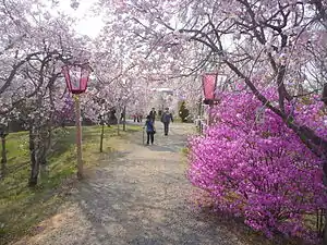 たけべの森公園