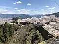 桜が満開の竹田城