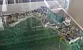竹田城の復元模型/朝来市観光案内センター所蔵