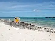 カイジ浜