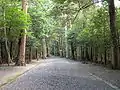 瀧原宮の参道