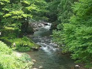 滝波川中流域
