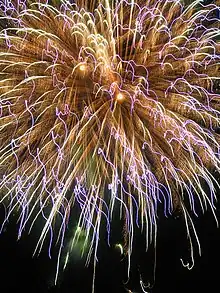 8月 滝野夏祭りの花火