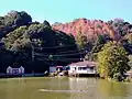 当公園の秋