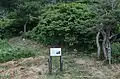 滝の沢口