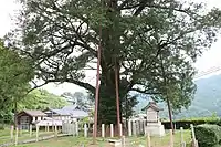 北垣国道が建立した生野義挙戦死者を弔う祠が根元の傍にある。
