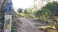 凧山つばきの森