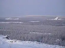 スク