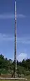 世界最長のトーテムポール（56.4m、アラートベイ近郊）